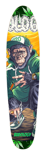 🛹✨ Budologist Skateboard “Ride the Frequency. Grind Through Dimensions.”