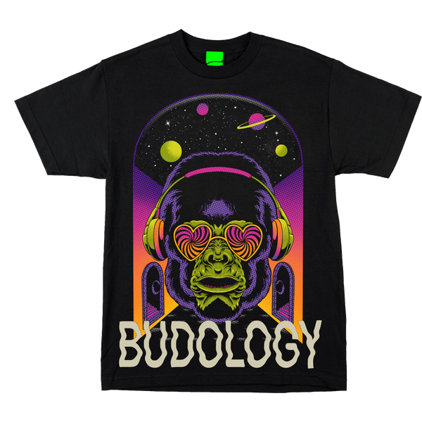 🦍🎛️🌌 Product Title:  DJ Gorilla – Frequency of Love Tee