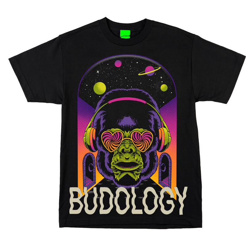 🦍🎛️🌌 Product Title:  DJ Gorilla – Frequency of Love Tee