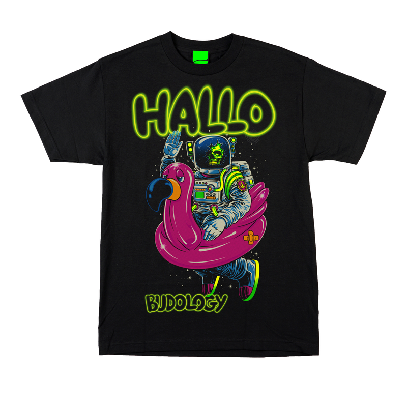 👨🏾‍🚀🦩💨 Product Title:  HALLO – Life Is But a Dream Tee