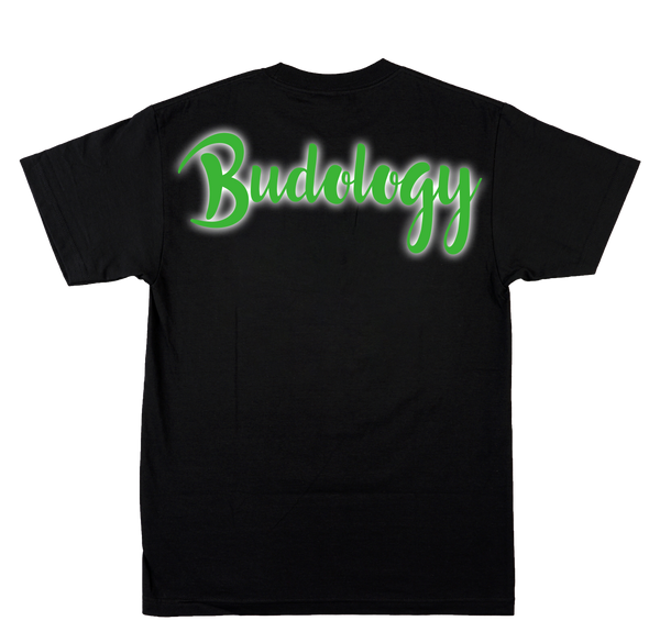 🤝🌿❤️ Product Title:  Love Brought Us Together – Bud Unity Tee