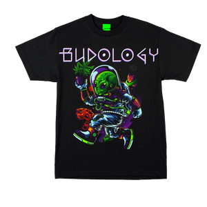 👽🌍🌿 Product Title:  Space Courier – Healer From the Stars Tee