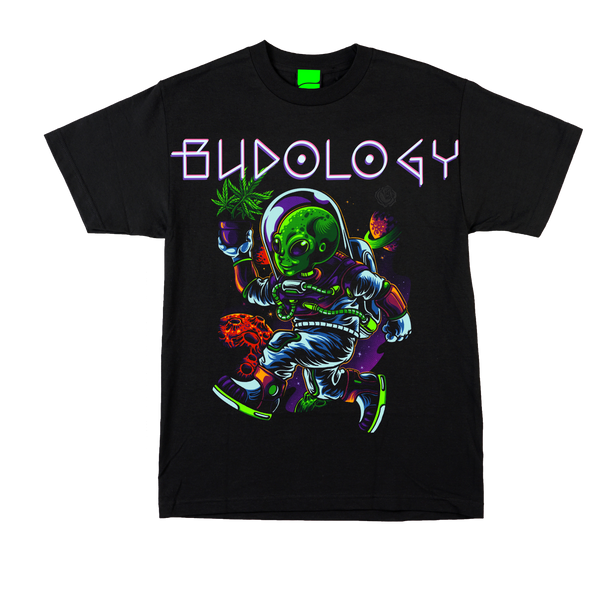 👽🌍🌿 Product Title:  Space Courier – Healer From the Stars Tee