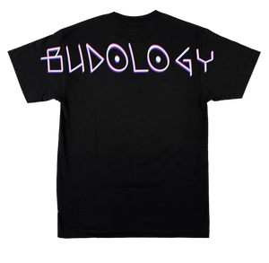 👽🌍🌿 Product Title:  Space Courier – Healer From the Stars Tee