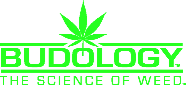 BUDOLOGY,INC